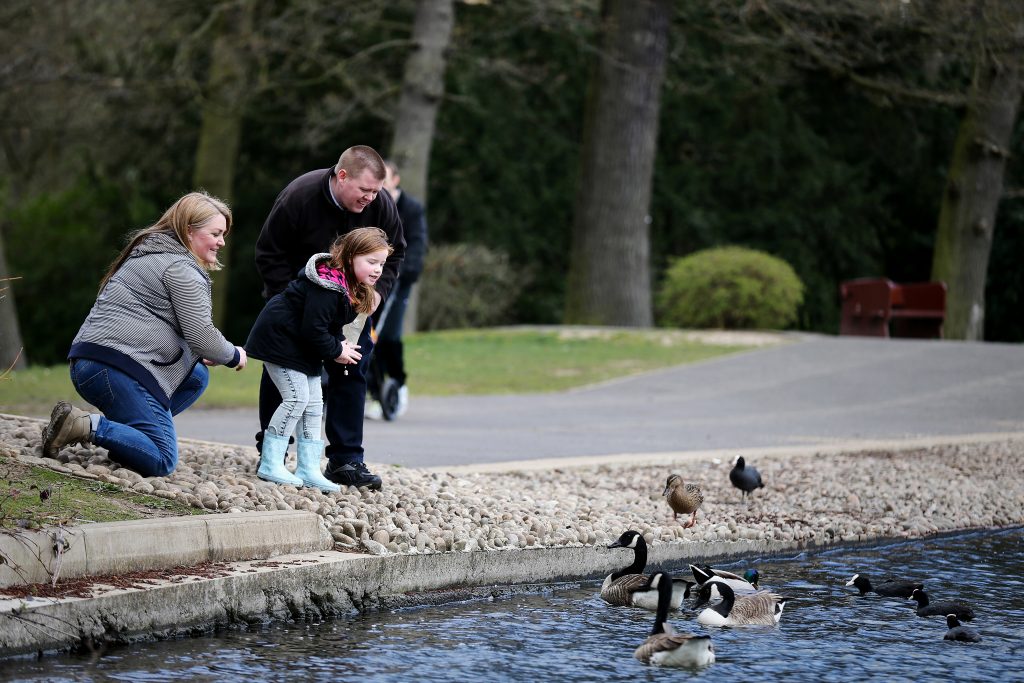 Two parents and a child feeding ducks on a pond